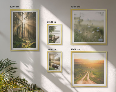 Set de 5 cuadros para salón Paisajes forestales sol agua