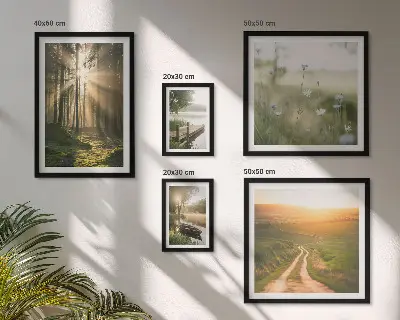 Set de 5 cuadros para salón con paisajes de bosques sol y agua