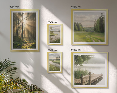 Conjunto de cuadros decorativos Paisajes forestales sol agua