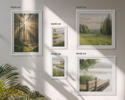 Conjunto de cuadros decorativos Paisajes forestales sol agua