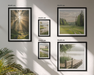 Conjunto de cuadros decorativos Paisajes forestales sol agua