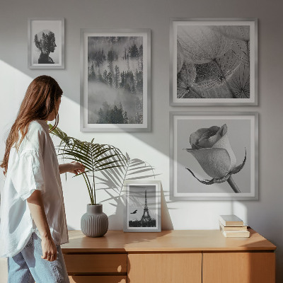 Set de 5 cuadros para salón Ciudad de naturaleza en blanco y negro