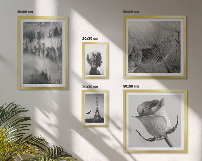Set de 5 cuadros para salón Ciudad de naturaleza en blanco y negro