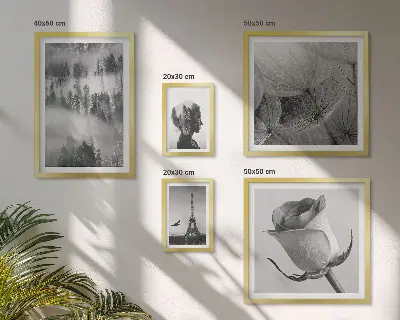 Set de 5 cuadros para salón diseño de ciudad de naturaleza en blanco y negro