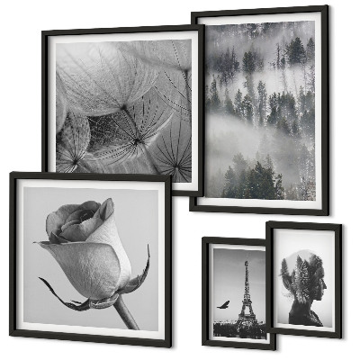 Set de 5 cuadros para salón Ciudad de naturaleza en blanco y negro