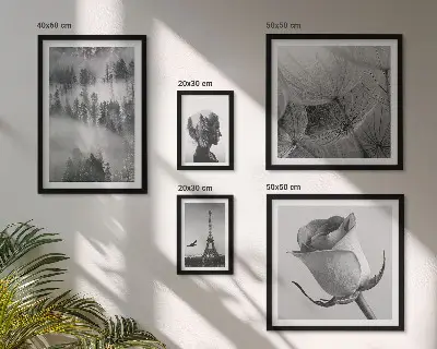 Set de 5 cuadros para salón diseño de ciudad de naturaleza en blanco y negro