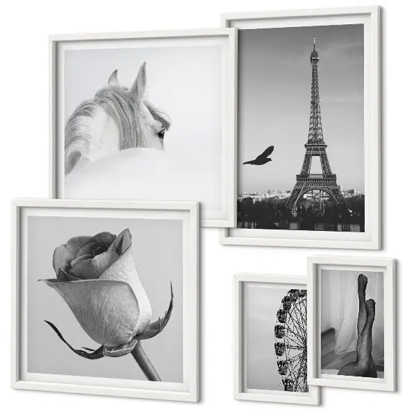 Conjunto de cuadros decorativos con imágenes elegantes en blanco y negro
