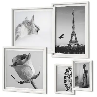 Conjunto de cuadros decorativos con imágenes elegantes en blanco y negro
