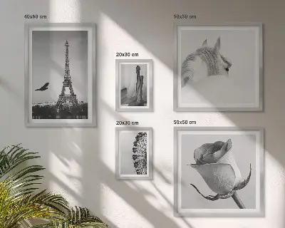 Conjunto de cuadros decorativos con imágenes elegantes en blanco y negro