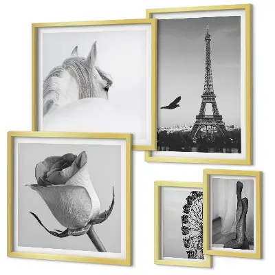 Conjunto de cuadros decorativos con imágenes elegantes en blanco y negro