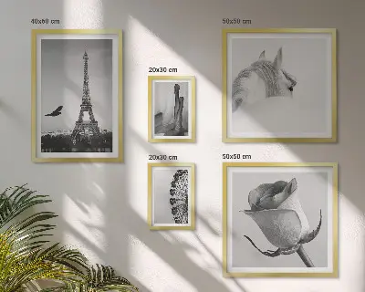 Conjunto de cuadros decorativos con imágenes elegantes en blanco y negro