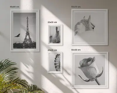 Conjunto de cuadros decorativos con imágenes elegantes en blanco y negro