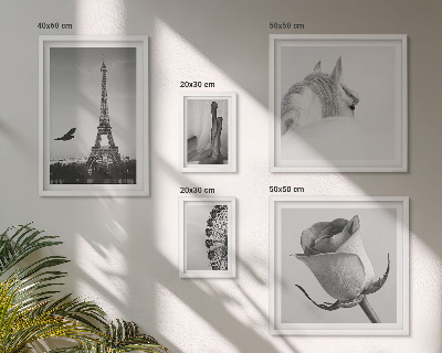 Conjunto de cuadros decorativos Imágenes elegantes en blanco y negro