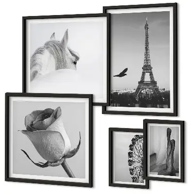 Conjunto de cuadros decorativos con imágenes elegantes en blanco y negro