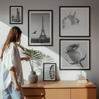 Conjunto de cuadros decorativos Imágenes elegantes en blanco y negro