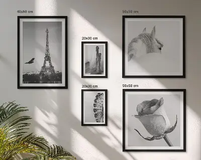 Conjunto de cuadros decorativos con imágenes elegantes en blanco y negro