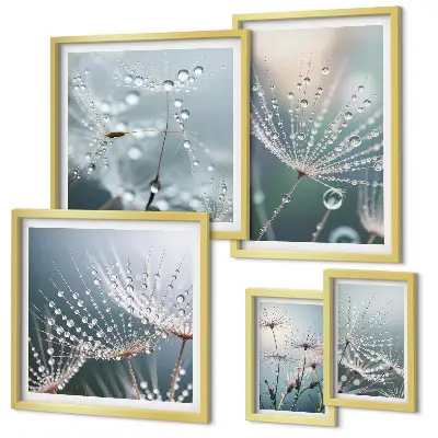 Pared galería de arte gotas de rocío en plantas con estilo minimalista