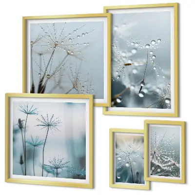 Conjunto de cuadros decorativos con motivos vegetales y gotas de agua