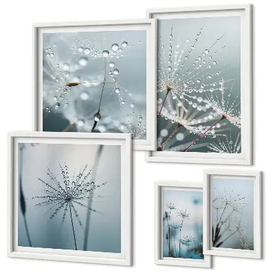 Set de 5 cuadros para salón con diseño de gotas de agua sobre las plantas