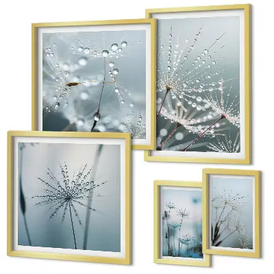 Set de 5 cuadros para salón con diseño de gotas de agua sobre las plantas