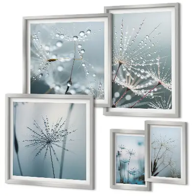 Set de 5 cuadros para salón con diseño de gotas de agua sobre las plantas
