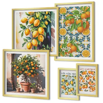 Conjunto de cuadros decorativos diseño de flores de cítricos de época