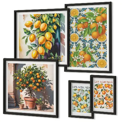 Conjunto de cuadros decorativos diseño de flores de cítricos de época