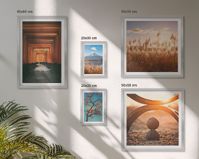 Set de 5 cuadros para salón Los tranquilos paisajes zen de la naturaleza.