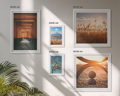 Set de 5 cuadros para salón Los tranquilos paisajes zen de la naturaleza.