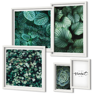 Set de 5 cuadros para salón Plantas modernas de hojas verdes