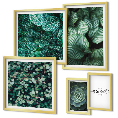 Set de 5 cuadros para salón Plantas modernas de hojas verdes