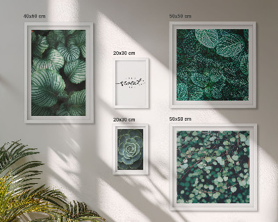 Set de 5 cuadros para salón Plantas modernas de hojas verdes