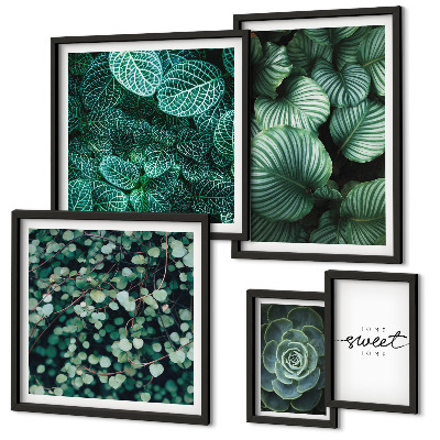 Set de 5 cuadros para salón Plantas modernas de hojas verdes