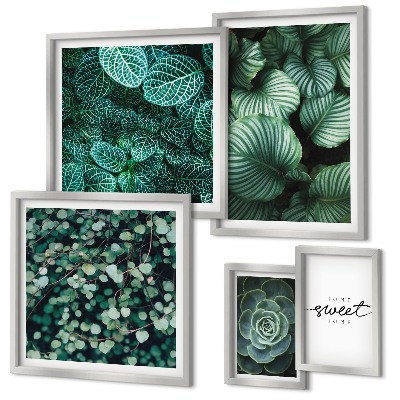 Set de 5 cuadros para salón Plantas modernas de hojas verdes