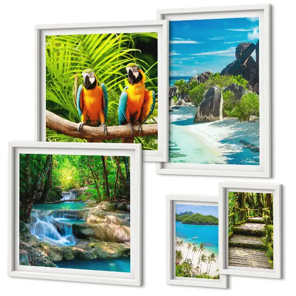 Conjunto de cuadros decorativos con diseño de paisajes tropicales, aves y cascadas