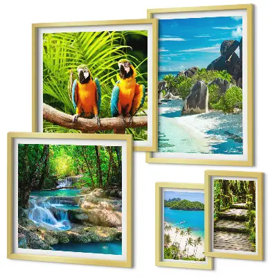 Conjunto de cuadros decorativos con diseño de paisajes tropicales, aves y cascadas