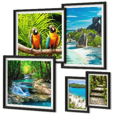 Conjunto de cuadros decorativos con diseño de paisajes tropicales, aves y cascadas