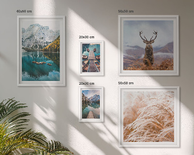 Conjunto de cuadros decorativos Paisajes de montaña y la belleza de la naturaleza.