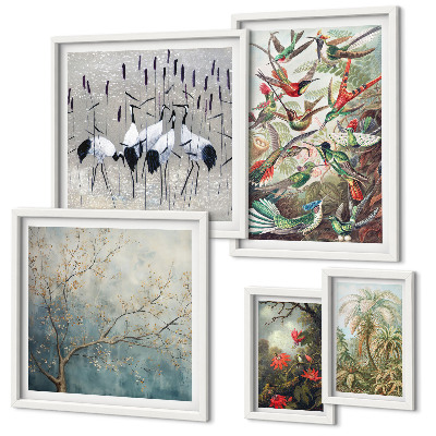 Conjunto de cuadros decorativos Aves tropicales antiguas