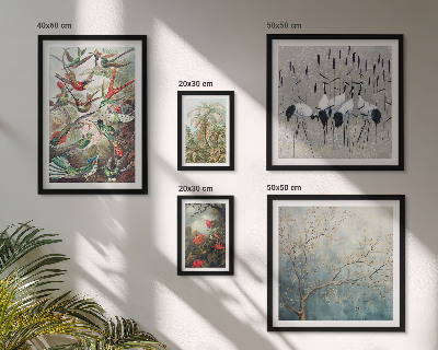 Conjunto de cuadros decorativos Aves tropicales antiguas