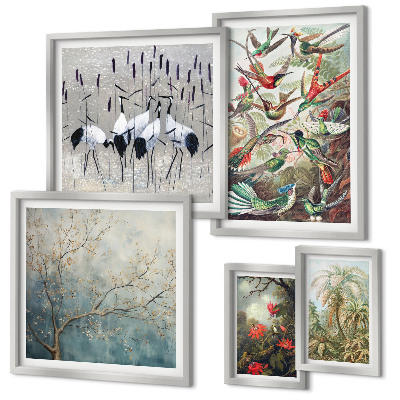 Conjunto de cuadros decorativos Aves tropicales antiguas