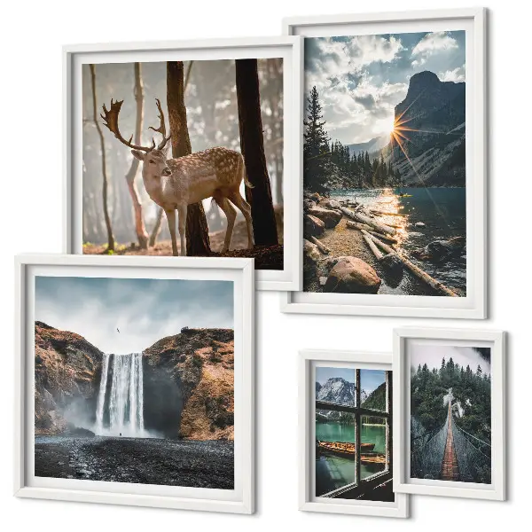 Conjunto de cuadros decorativos de paisajes con naturaleza, cascadas y fauna
