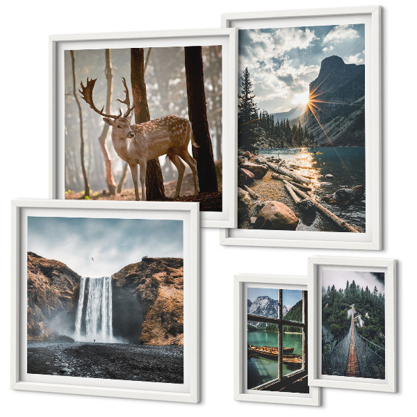 Conjunto de cuadros decorativos Paisajes naturaleza cascadas fauna