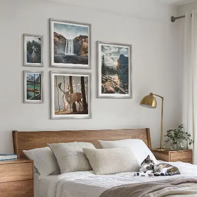 Conjunto de cuadros decorativos de paisajes con naturaleza, cascadas y fauna