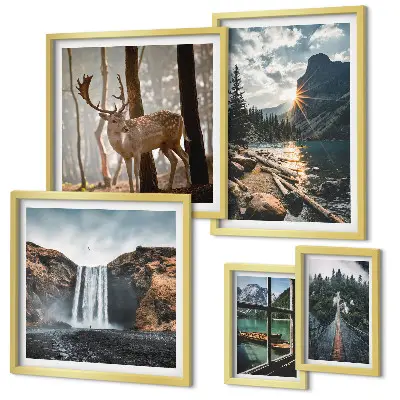 Conjunto de cuadros decorativos de paisajes con naturaleza, cascadas y fauna