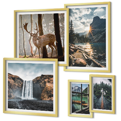Conjunto de cuadros decorativos Paisajes naturaleza cascadas fauna