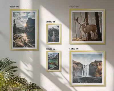 Conjunto de cuadros decorativos de paisajes con naturaleza, cascadas y fauna