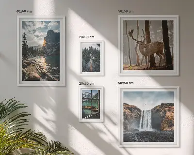 Conjunto de cuadros decorativos de paisajes con naturaleza, cascadas y fauna