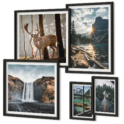 Conjunto de cuadros decorativos de paisajes con naturaleza, cascadas y fauna