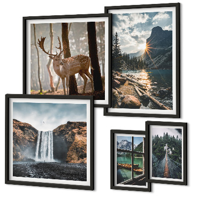 Conjunto de cuadros decorativos Paisajes naturaleza cascadas fauna
